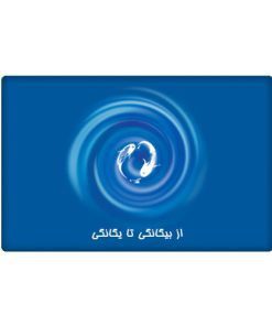 از بیگانگی تا یگانگی