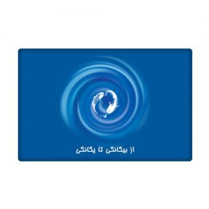 از بیگانگی تا یگانگی