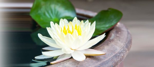 یوگا چگونه می‌تواند موثر باشد
